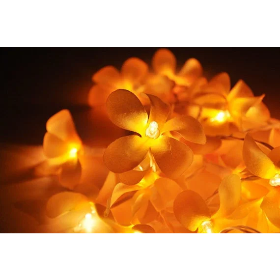 String Lights 20 LED Orange Frangipani Flower Battery