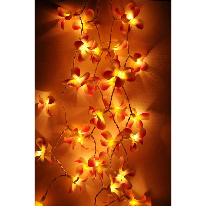 String Lights 20 LED Orange Frangipani Flower Battery