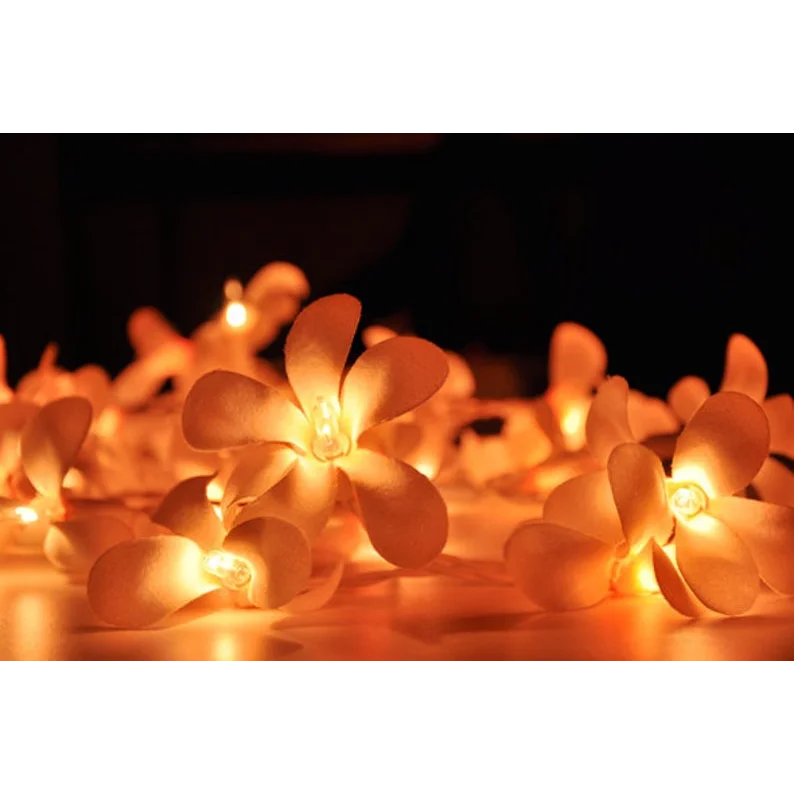 String Lights 20 LED Orange Frangipani Flower Battery