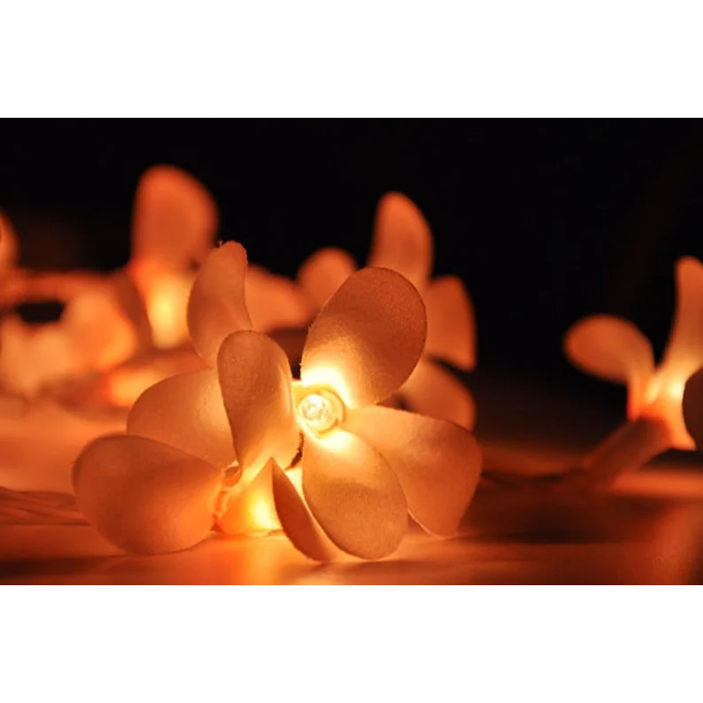 String Lights 20 LED Orange Frangipani Flower Battery