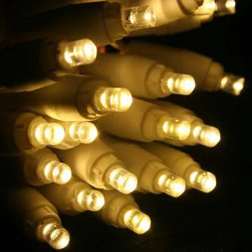 String Lights 20 LED Plain Warm White Bulb Battery Powered