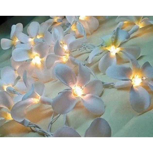 String Lights 20 LED White Frangipani Flower Battery