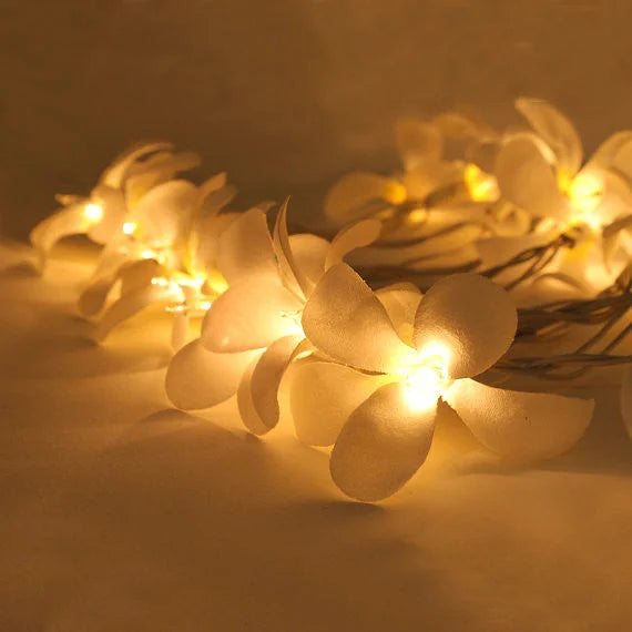 String Lights 20 LED White Frangipani Flower Battery