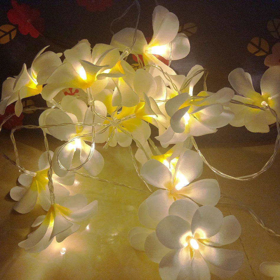 String Lights 20 LED White Frangipani Flower Battery