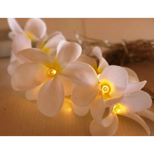 String Lights 20 LED White Frangipani Flower Battery