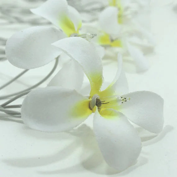 String Lights 20 LED White Frangipani Flower Battery