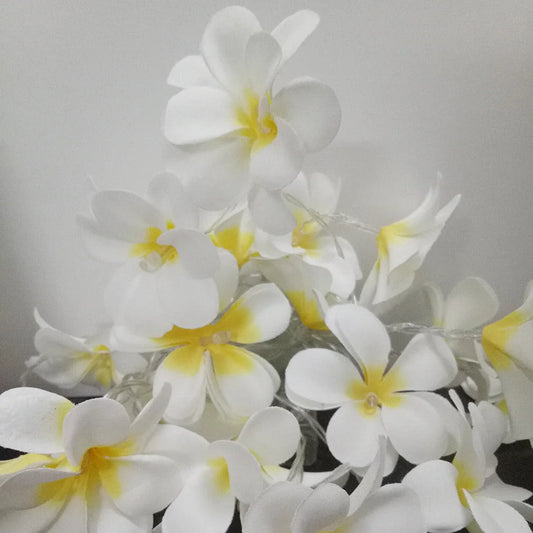 String Lights 20 LED White Frangipani Flower Battery