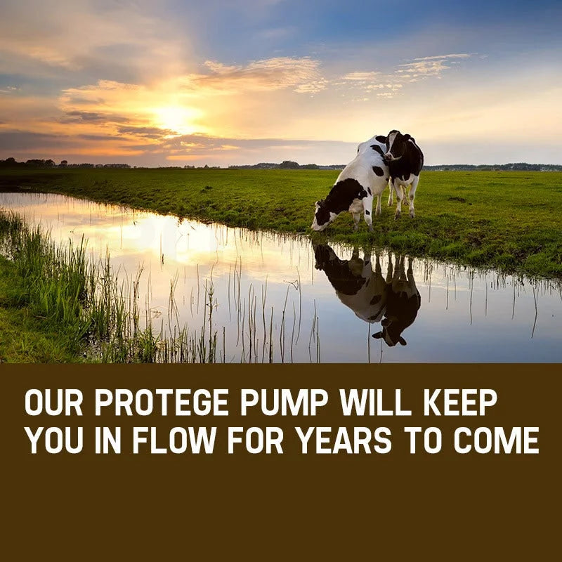 Submersible Bore Water Pump 1.5HP Deep Well Irrigation