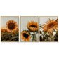 Sunflower Wall Art Canvas 80cmx120cm 3 Sets Gold Frame