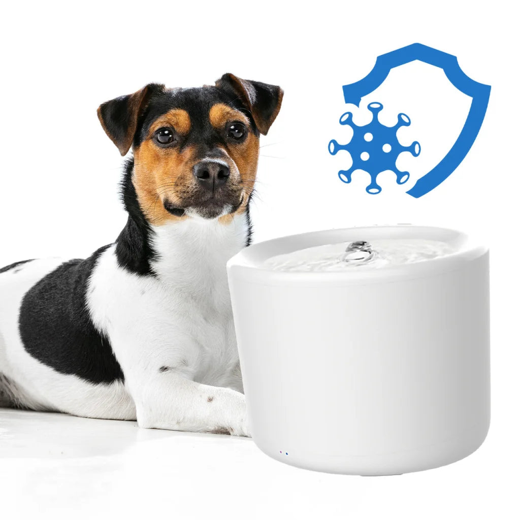 Filters pack water with fountain replacement