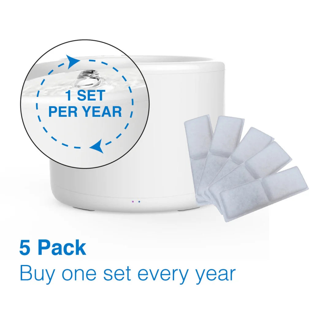 Pack water fountain with replacement filters pet