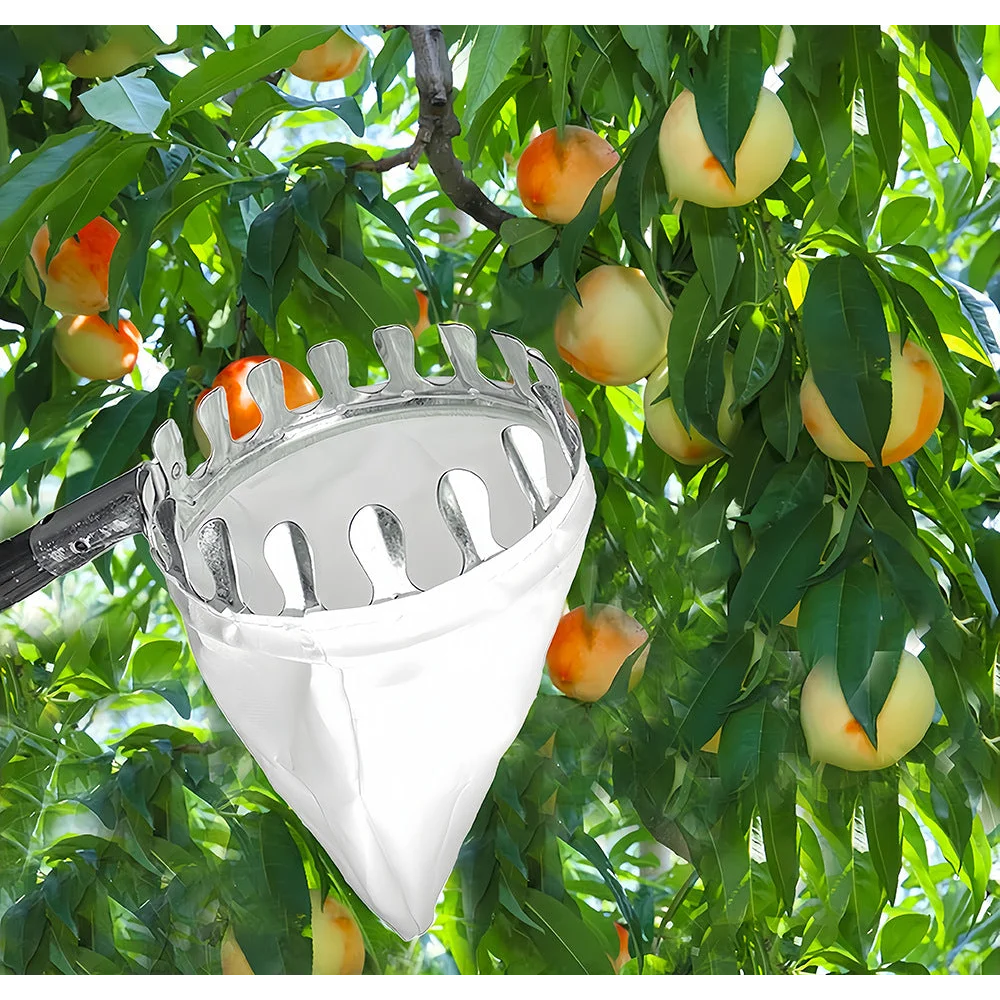 Telescoping Fruit Picker - Apple Peach Persimmon Harvesting