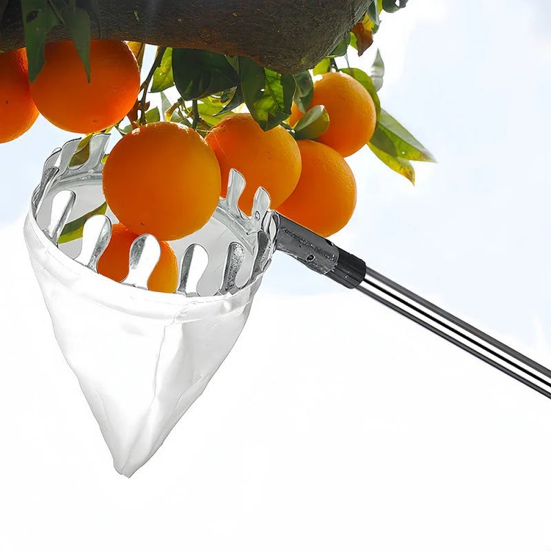 Telescoping Fruit Picker - Apple Peach Persimmon Harvesting