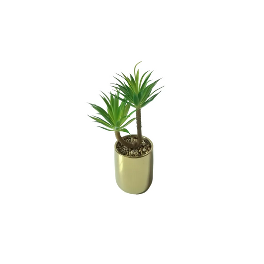Tiff Pot Succulent Plant - Home & Garden > Artificial