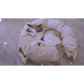 Timber Gyro Cat Nest Bed - Pet Care