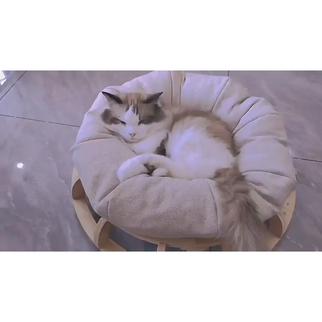 Timber Gyro Cat Nest Bed - Pet Care