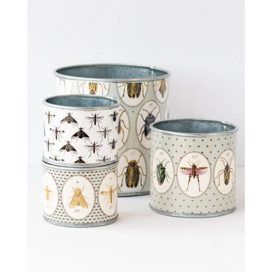 tin-planter-bugtasia-taupe-set-of-4 - Home & Garden > Decor