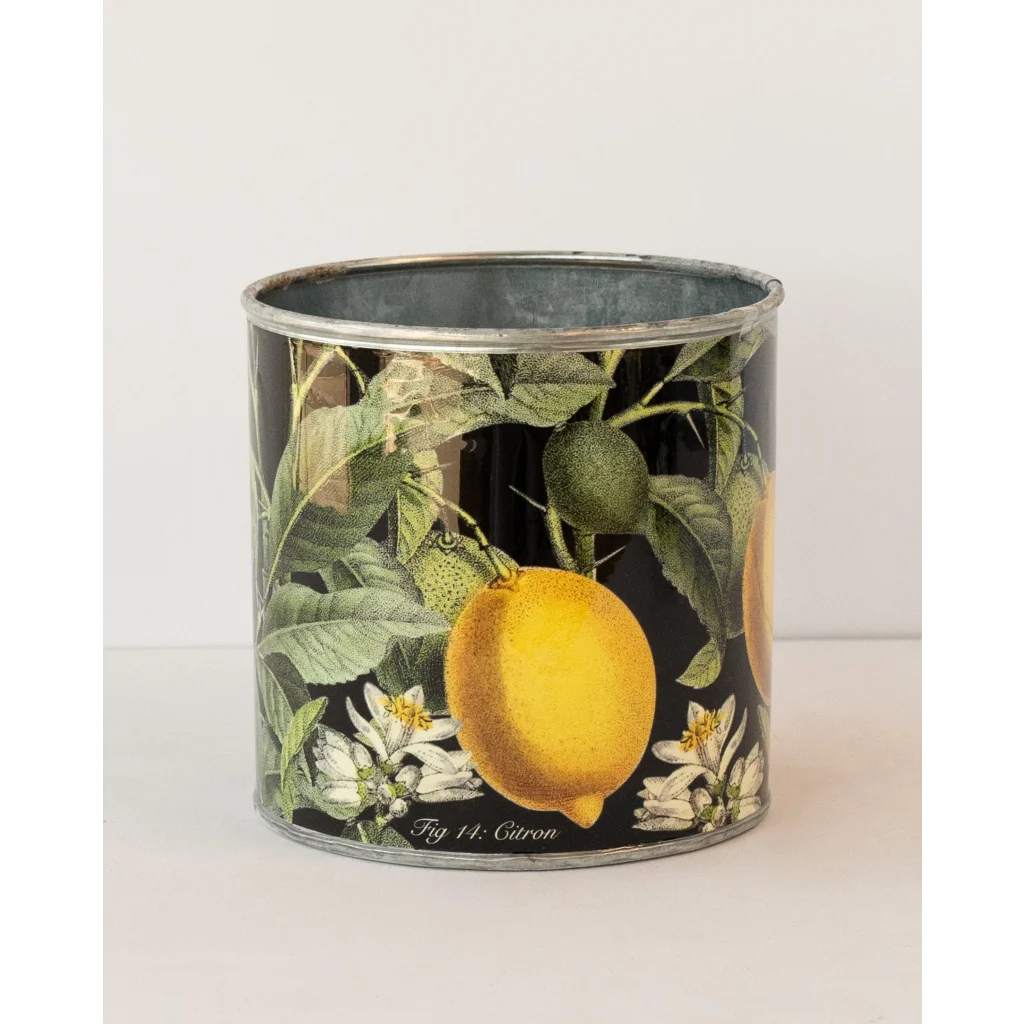tin-planter-lemons-set-of-4 - Home & Garden > Decor >