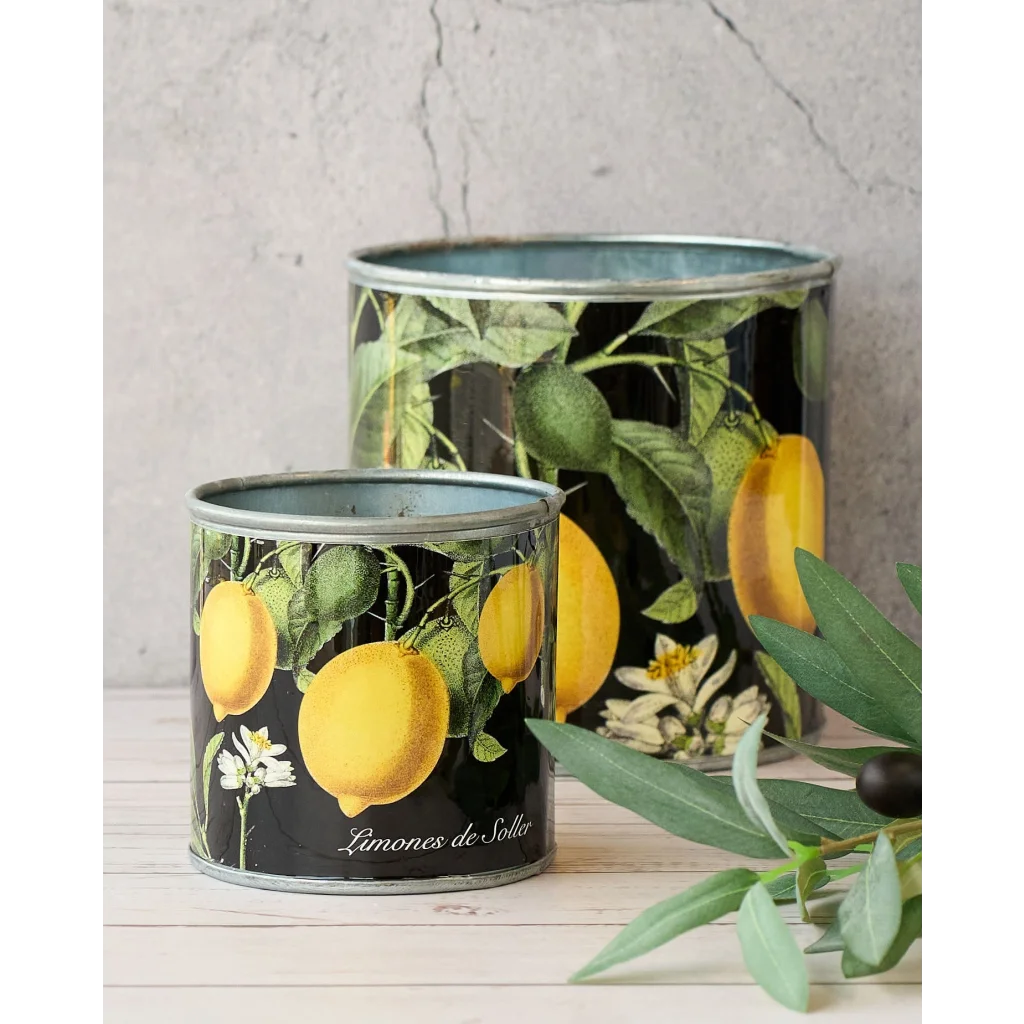 tin-planter-lemons-set-of-4 - Home & Garden > Decor >