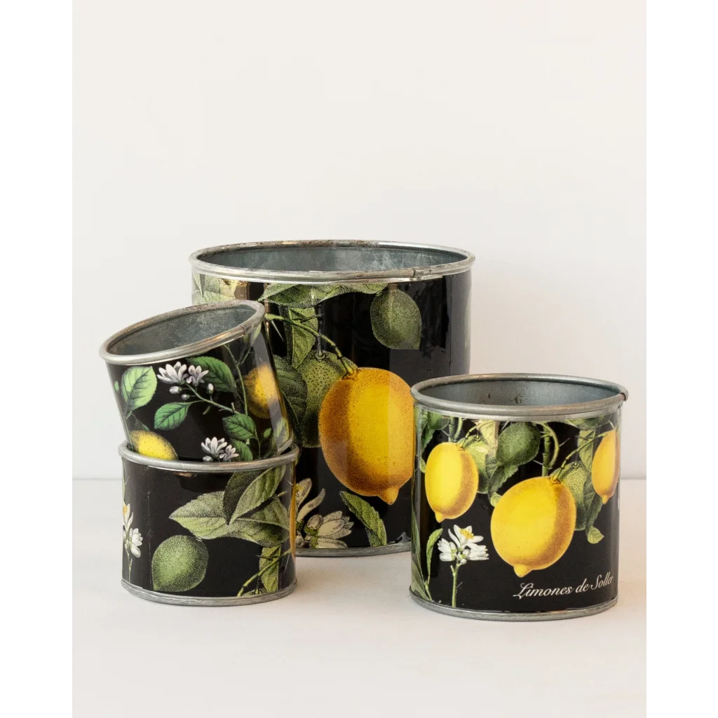 tin-planter-lemons-set-of-4 - Home & Garden > Decor >