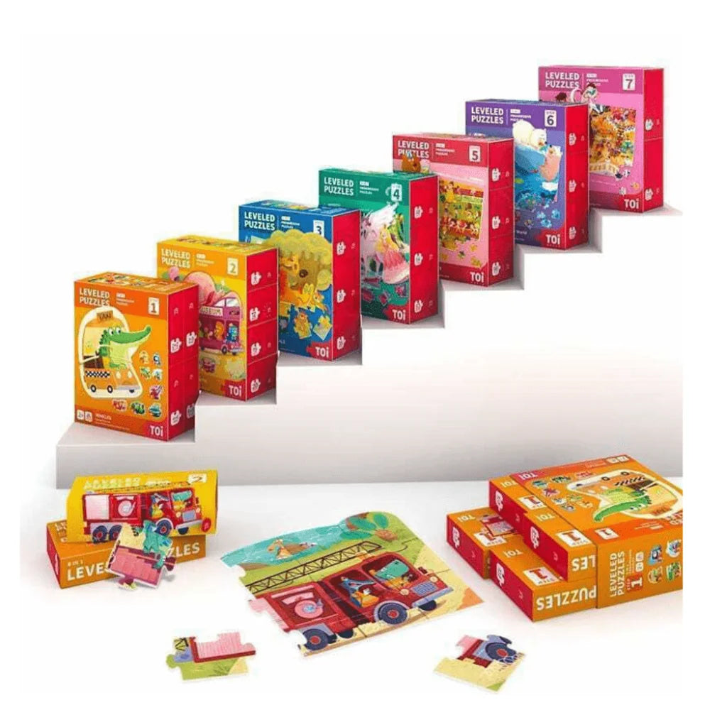 TOI Leveled Puzzle Step 7 Playground-1973194211926872068