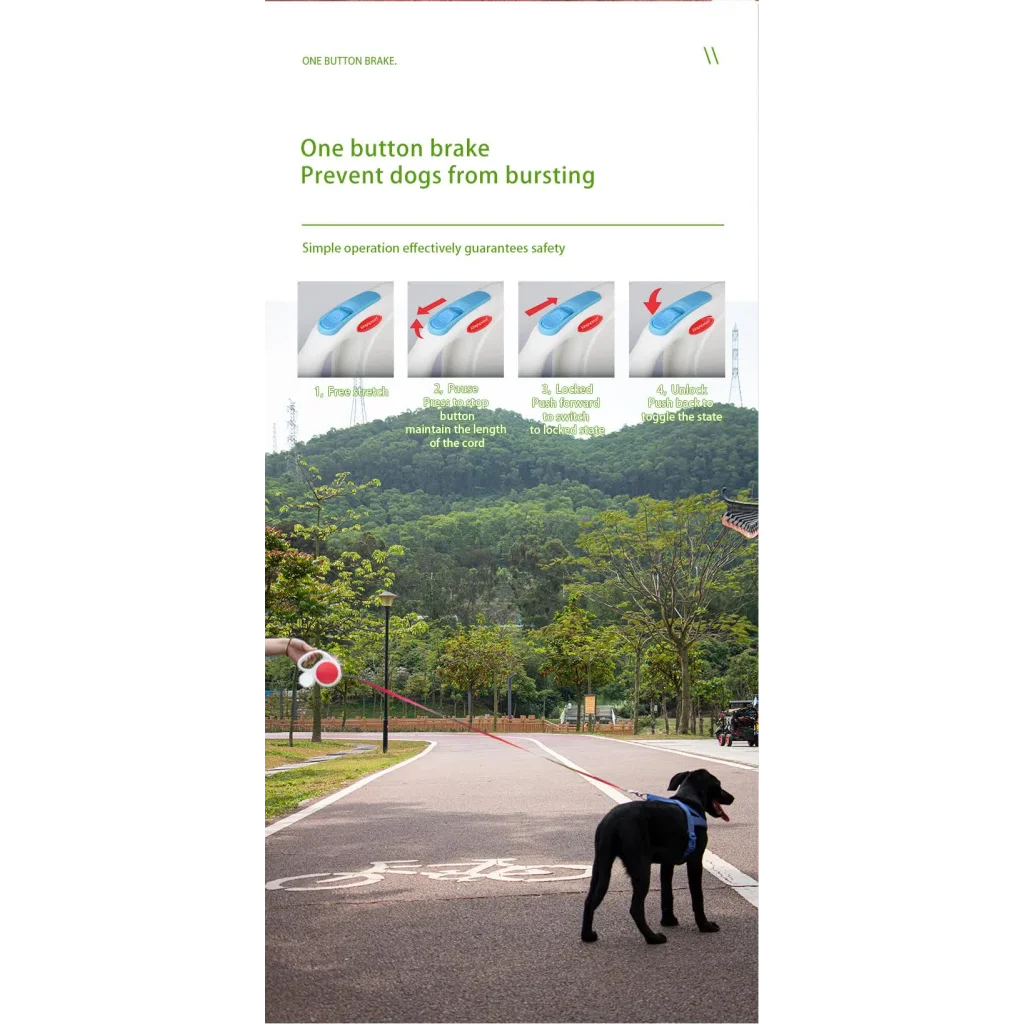 Tomato red 5M Retractable Dog Leash - With Small Box