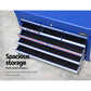 Storage cabinet with tool box chest garage drawer