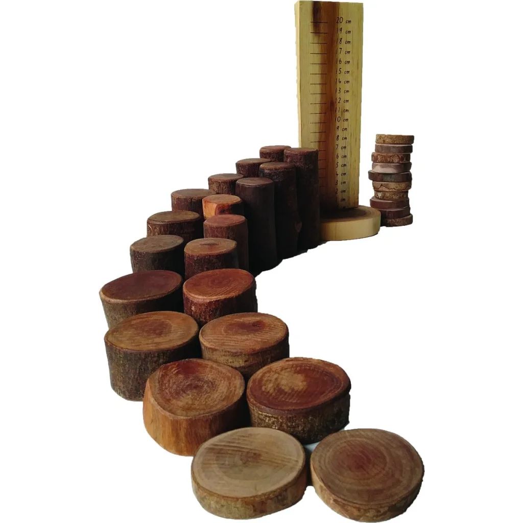 Tree Maths Set with Ruler - Toys