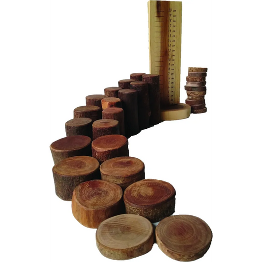 Tree Maths Set with Ruler - Toys