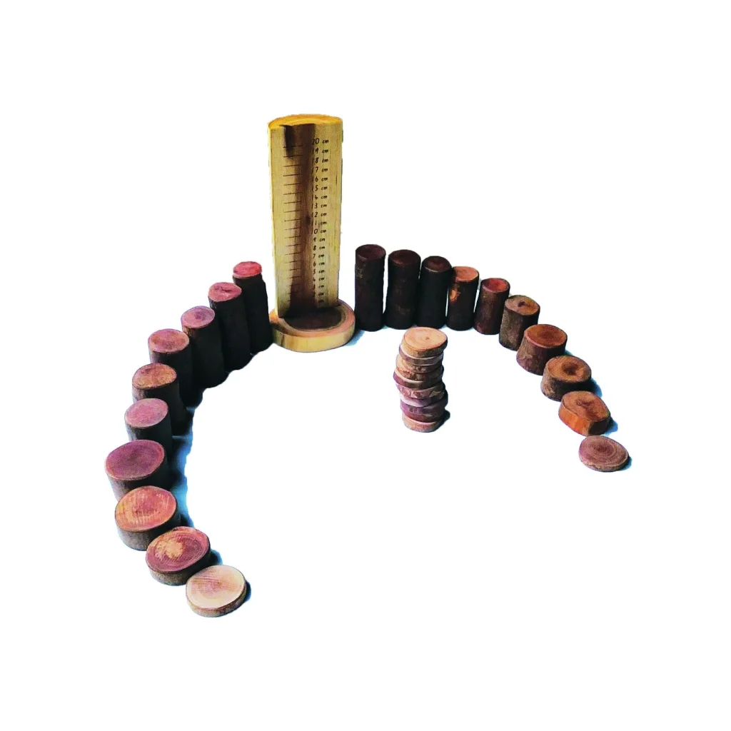 Tree Maths Set with Ruler - Toys