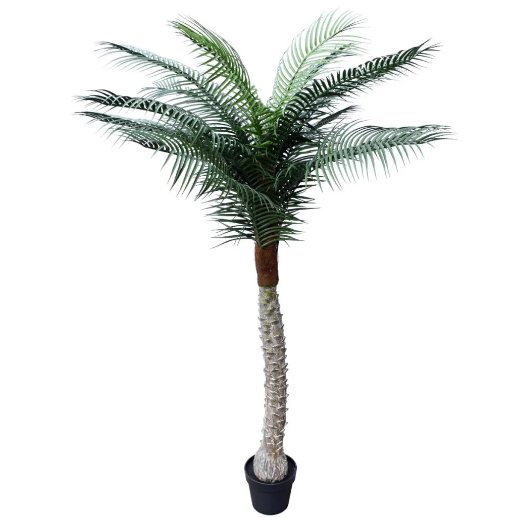 Tropical Palm Tree 170cm UV Resistant - Artificial Plants
