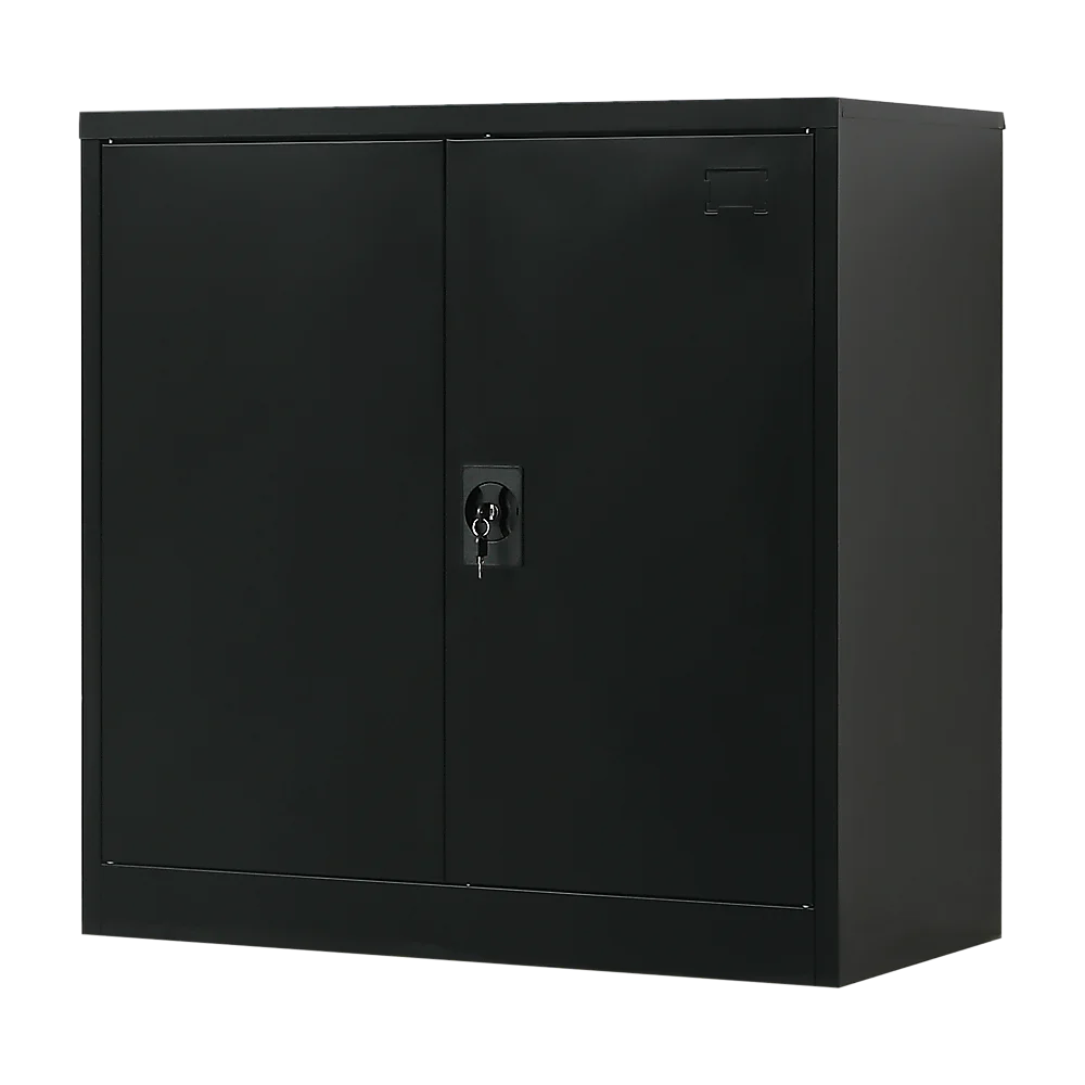 Two-Door Metal Short Cabinet Shelf Storage for Home Office