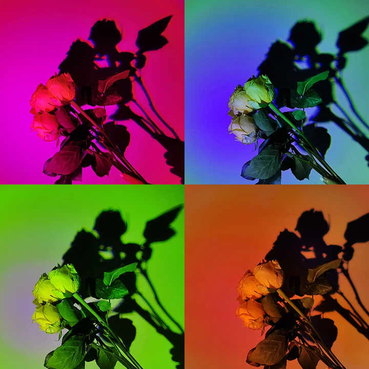 UFO RGB Sunset Projection Lamp with 16 Colors and Remote