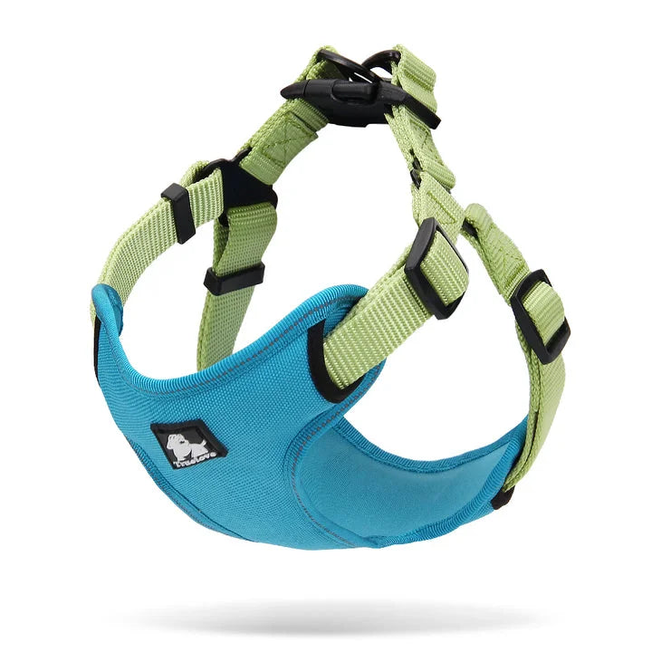 Urban Harness - Blue/Green (L)
