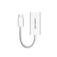 USB-C to DP Converter - 40372 - Computer Accessories