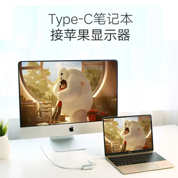 USB-C to Mini DisplayPort Adapter - 40867 - Computer