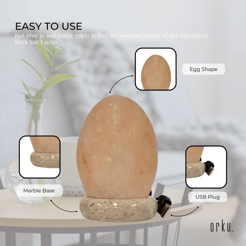 USB Colour Changing Egg Shape Himalayan