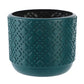 Versatile Vase for Wet and Dry Flowers - Glazed Finish