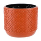 Versatile Vase for Wet and Dry Flowers - Glazed Finish