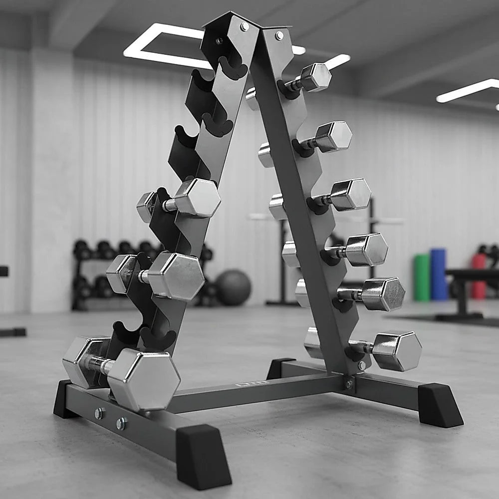 Vertical Dumbbell Rack Weight Stand - Steel - Fitness