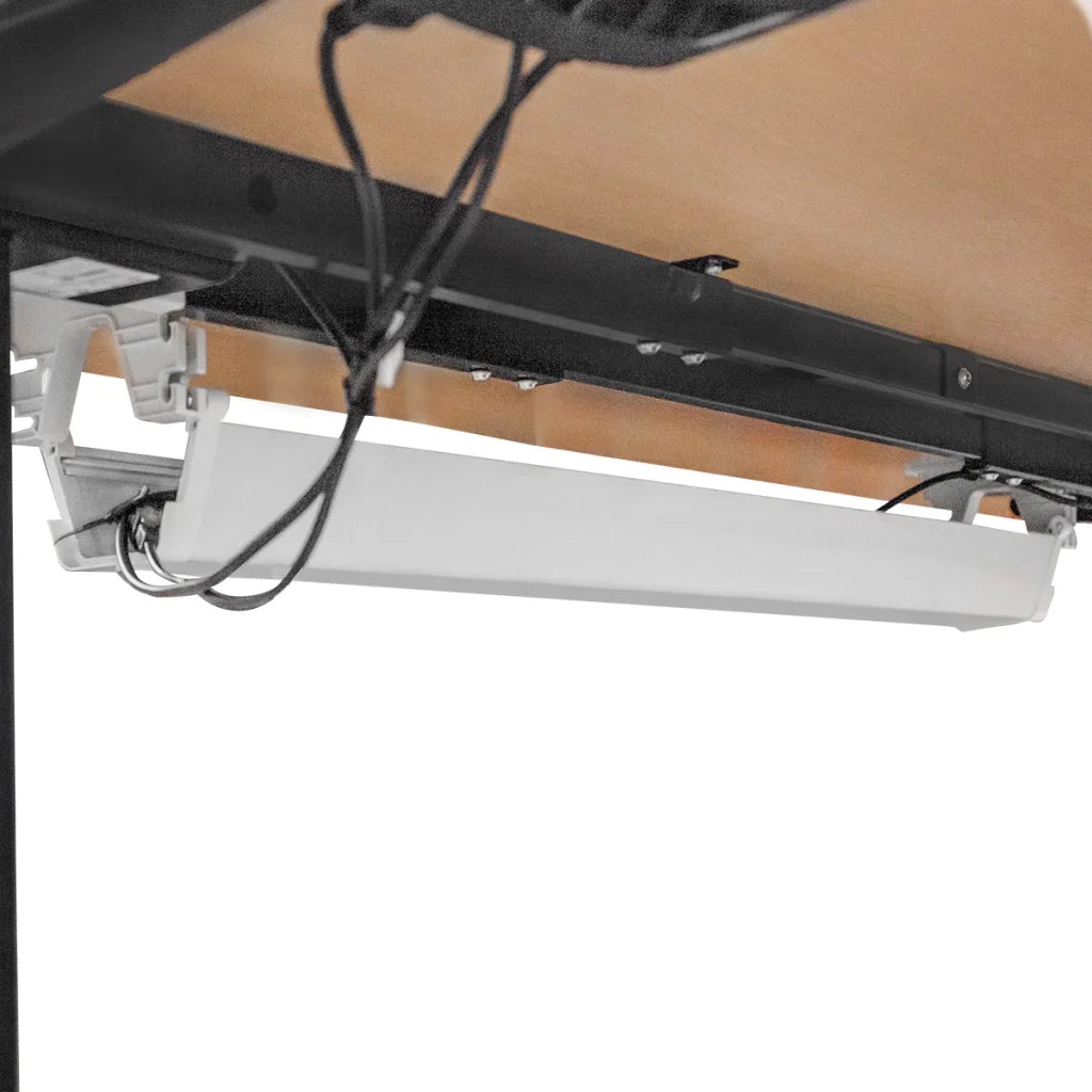 WalkingPad C2 Treadmill + ErgoDesk Automatic Standing Desk