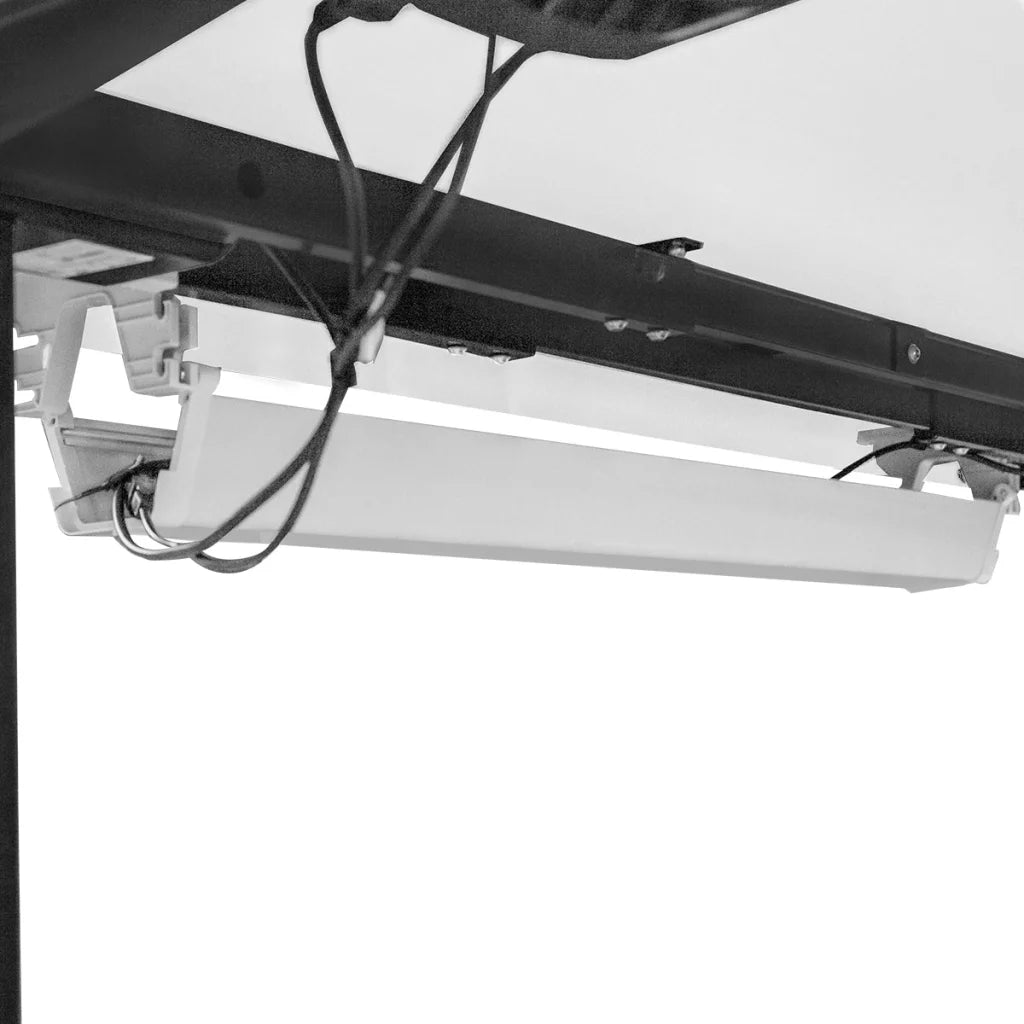 WalkingPad C2 Treadmill + ErgoDesk Automatic Standing Desk