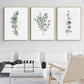 Wall Art 50cmx70cm Eucalyptus Plant 3 Sets - Gold Frame