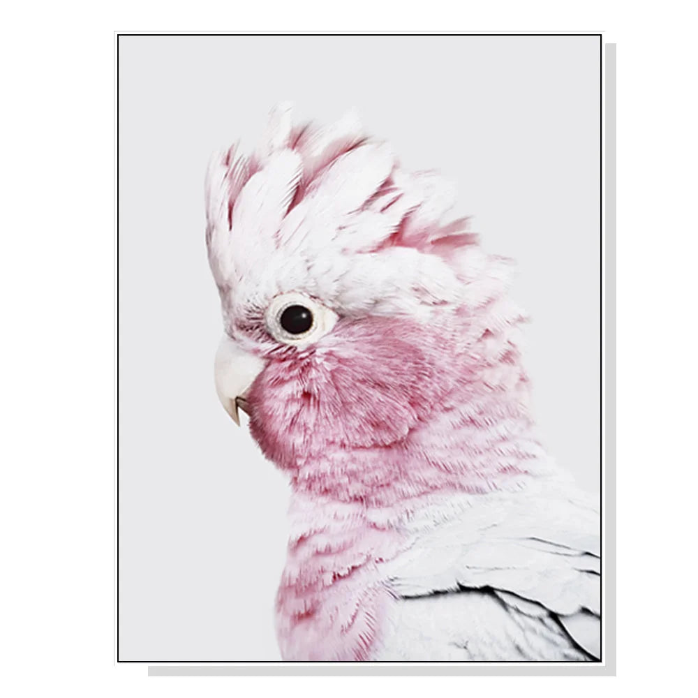 Wall Art 60cm x 90cm Pink Galah White Frame Canvas - Home &