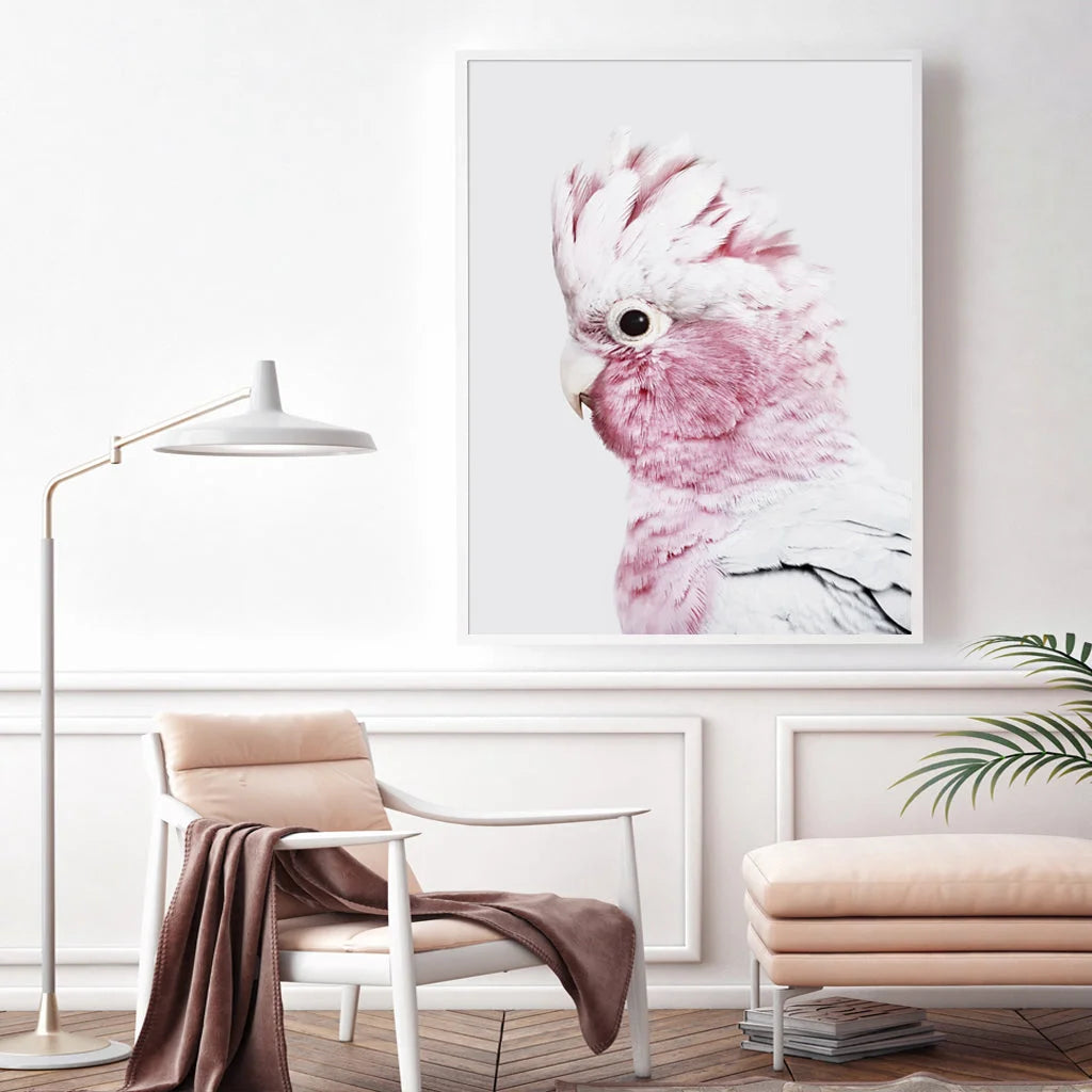 Wall Art 60cm x 90cm Pink Galah White Frame Canvas - Home &