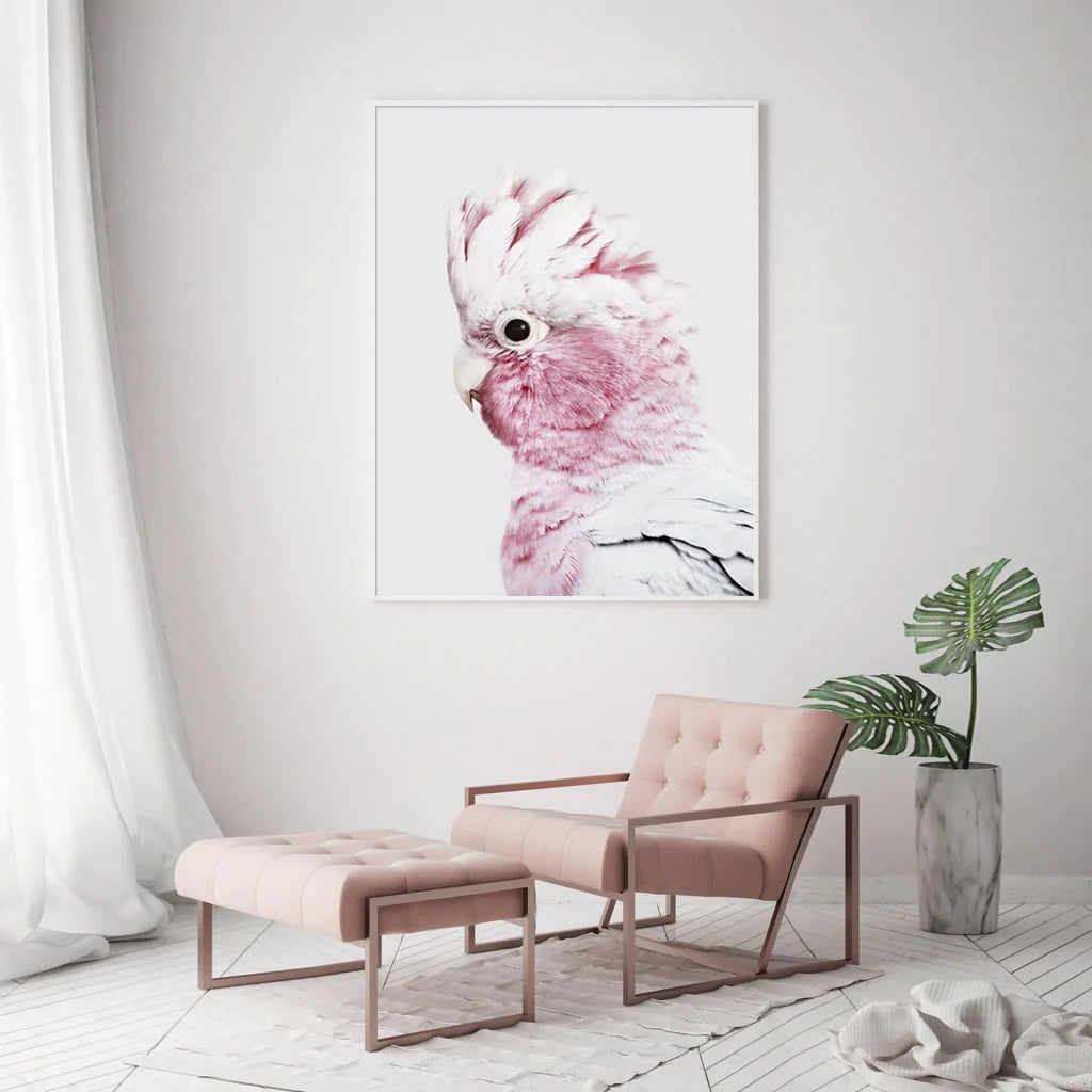 Wall Art 60cm x 90cm Pink Galah White Frame Canvas - Home &
