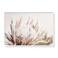 Wall Art - 70cm x 100cm Pure Protea II White Frame Canvas
