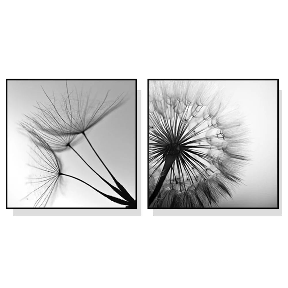 Wall Art 70cm x 70cm Black and White Dandelion 2 Sets Black