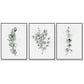 Wall Art 70cmx100cm - Eucalyptus Plant 3 Sets with Black