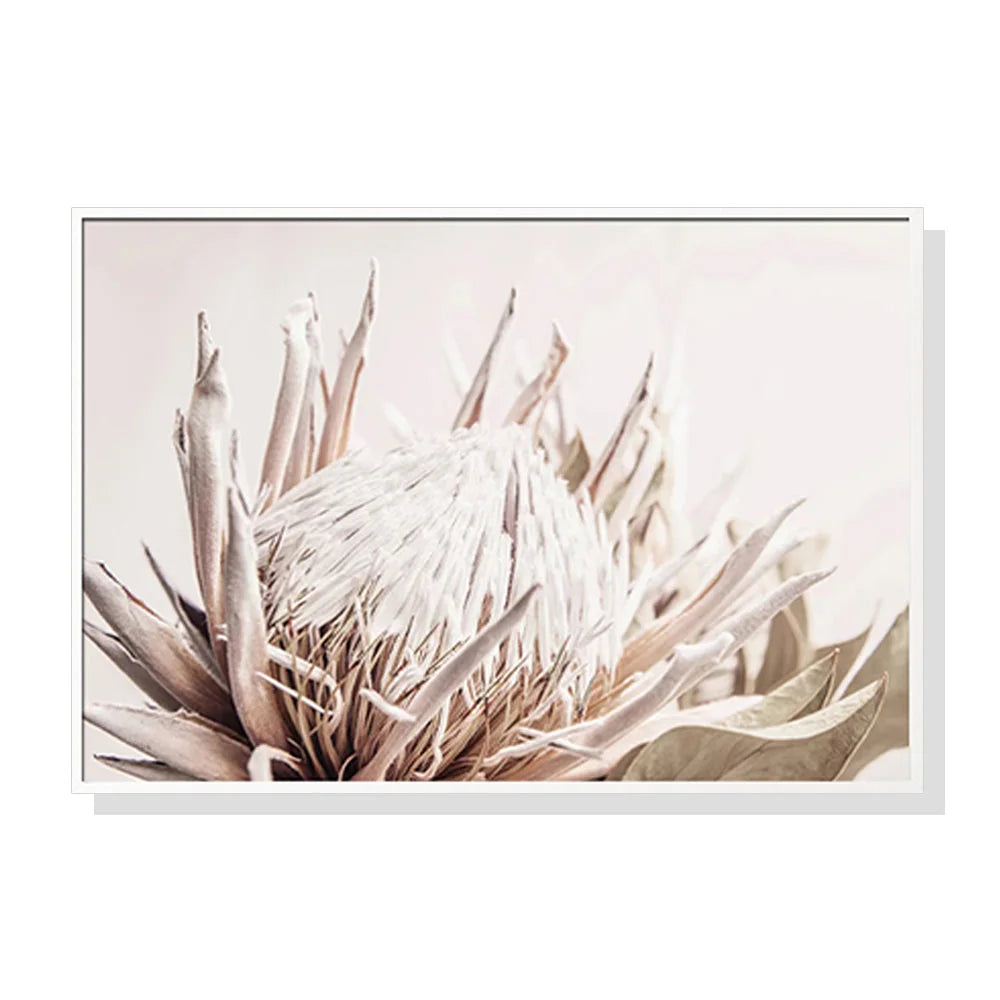 Wall Art 80cm x 120cm Pure Protea II White Frame Canvas